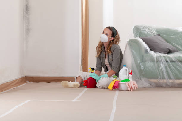 Reliable Mold Remediation contractor in Nutley, NJ by Cheap Mold Removal
